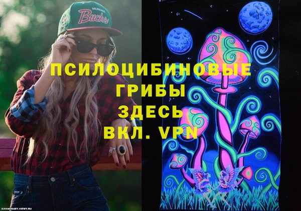 каннабис Новодвинск