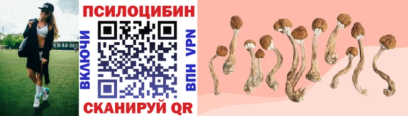 МЕГА ТОР  Зея  Псилоцибиновые грибы мухоморы 